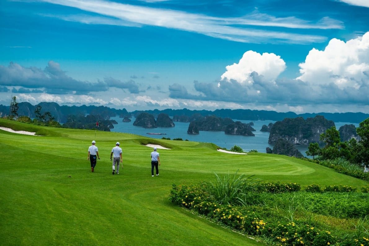 flc ha long bay golf club 