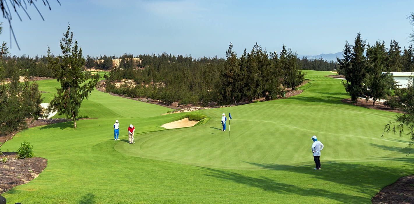 flc quy nhon golf links 