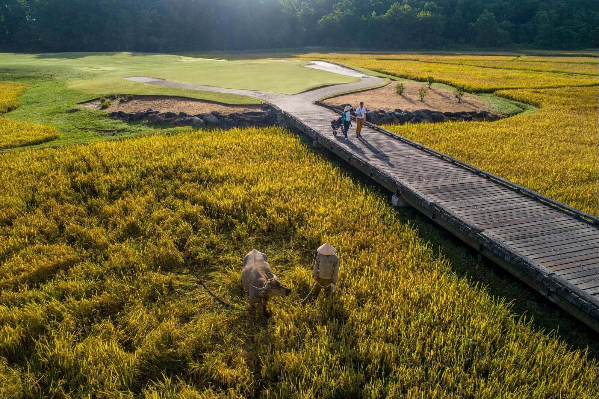 laguna lang co golf club 