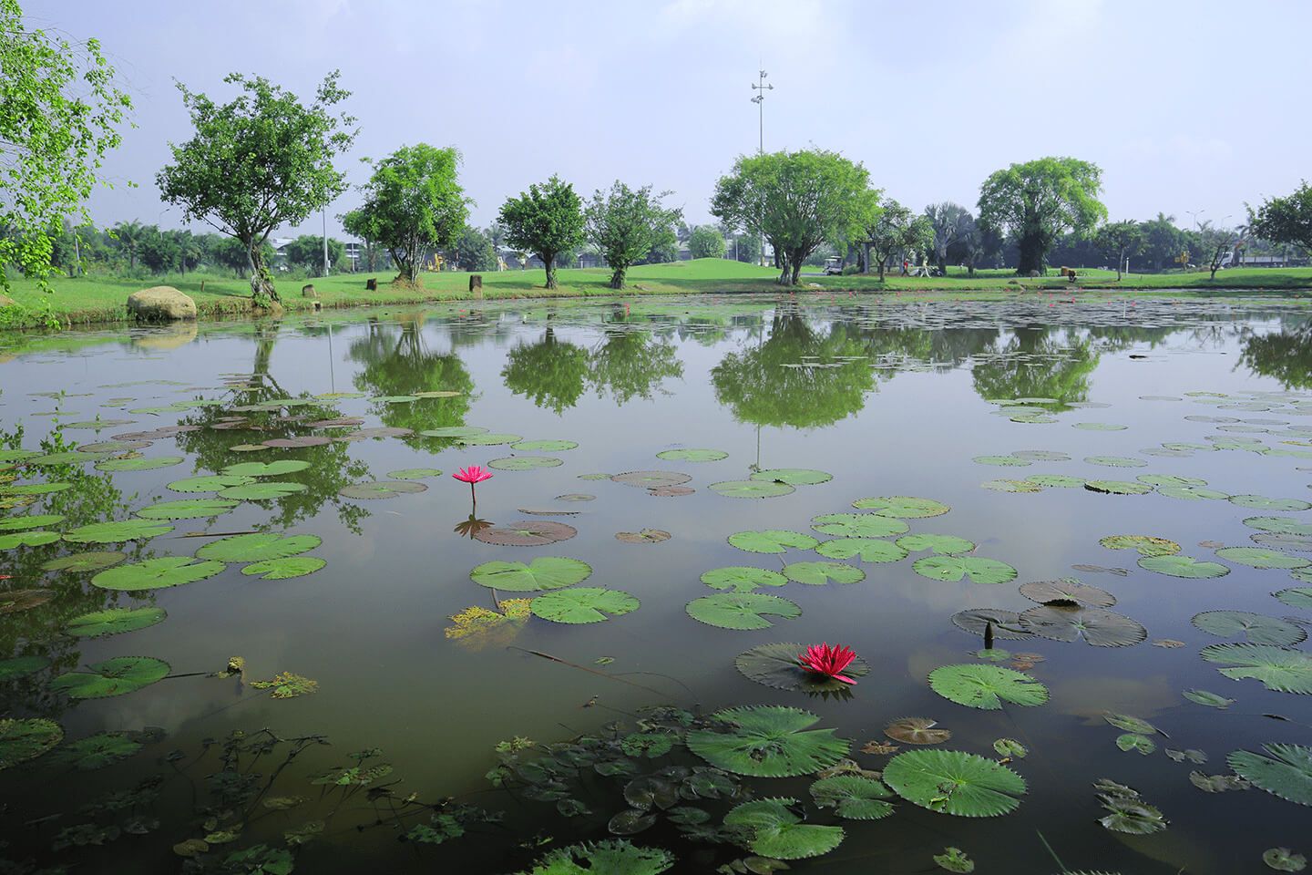 long thanh golf club 