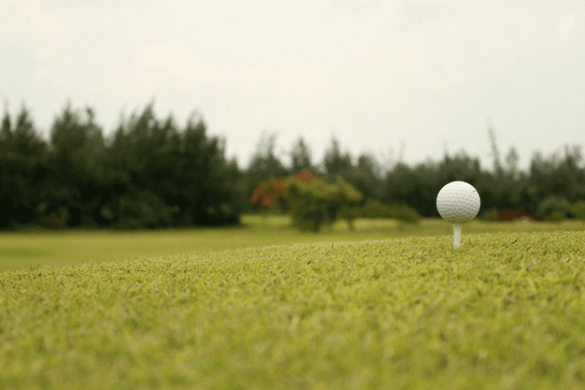 paradise golf vung tau 